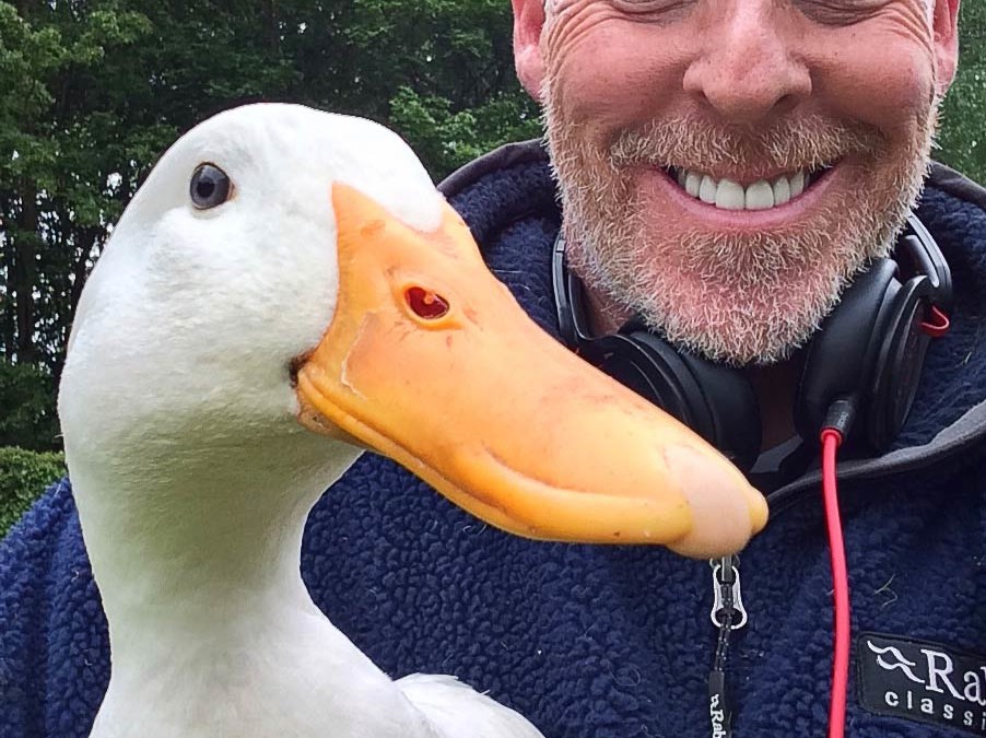 Living the Dream: Frank our mischievous Aylesbury duck