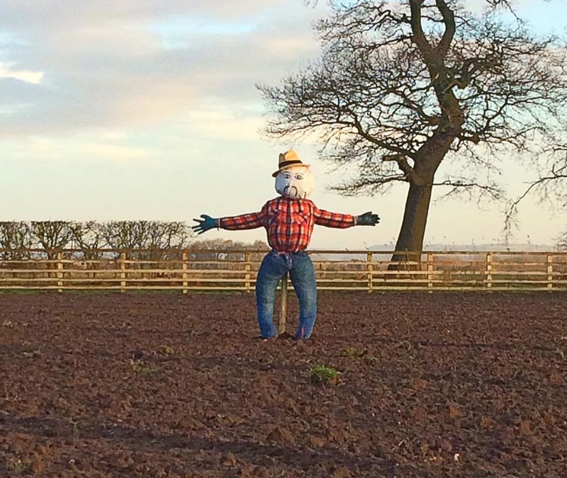 Living the Dream: Meet Worzel Gummidge the Scarecrow